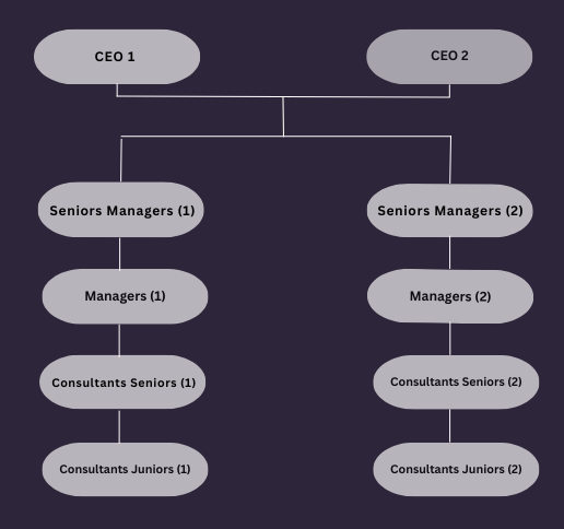 organigramme de l'entreprise